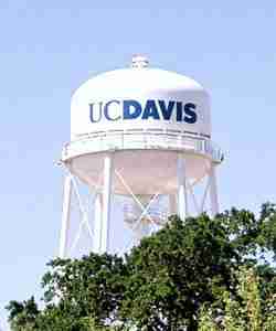 Leyson Excited By UC Davis Position, Central CA Lifestyle