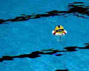 WATCH: Cal Men’s Water Polo Season Preview