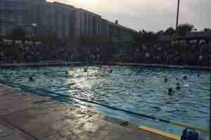 About Total Waterpolo(s)