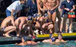 Cal Bears Announce 2015 Men’s Water Polo Schedule – CalBears.com